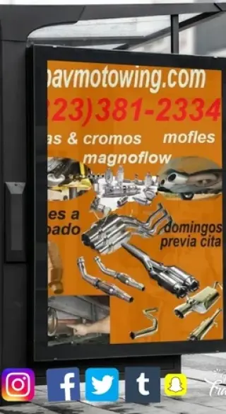 CATALIZADORES