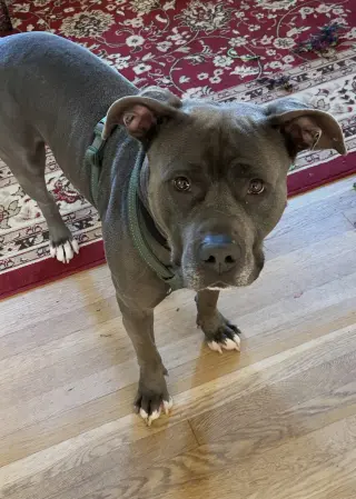 Cash