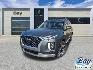 Hyundai PALISADE 2022 Calligraphy 4dr SUV
