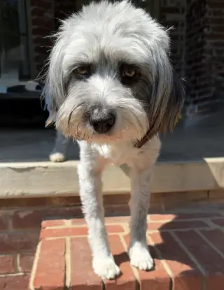 Marlene Bear