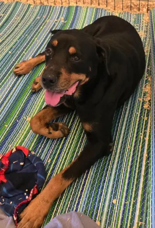 Duke