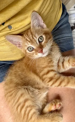 Jack