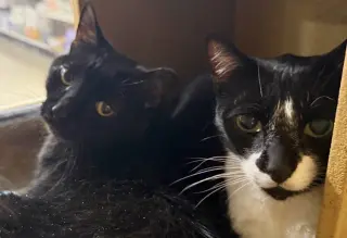 TuxeE