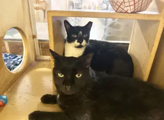 TuxeE