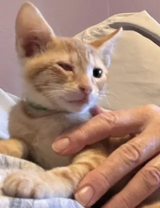 wink