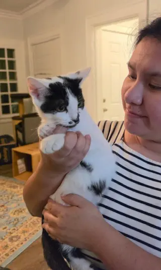 Pouperie bonded with Fig