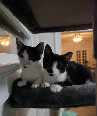 Barnaby bonded with Gooberella