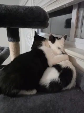 Gooberella bonded with Barnaby