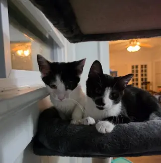 Gooberella bonded with Barnaby