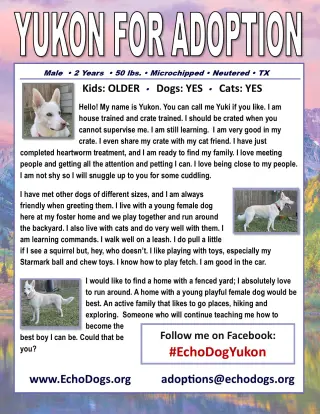 Yukon