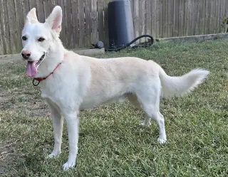 Yukon