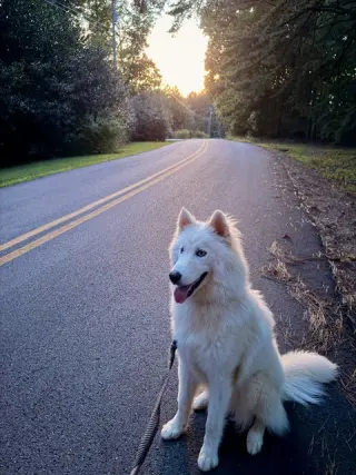 Yuki