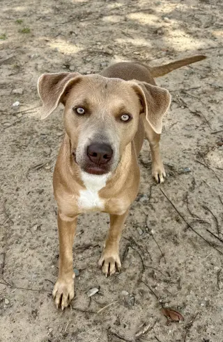 Twyla