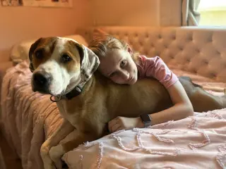 Otis (Courtesy)