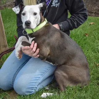 Greta