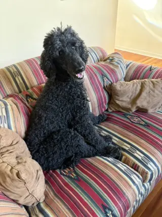 Maggie