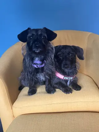 Princess & Dutchess