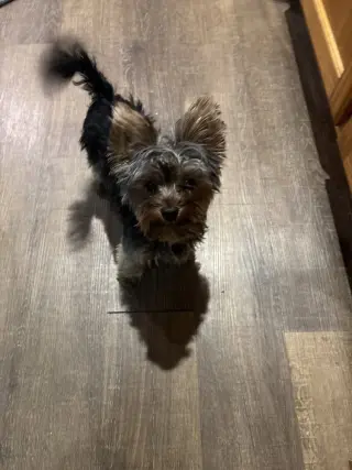 Zyggy-No Longer Accepting Applications