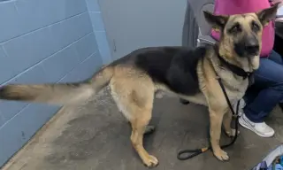 Kaiser