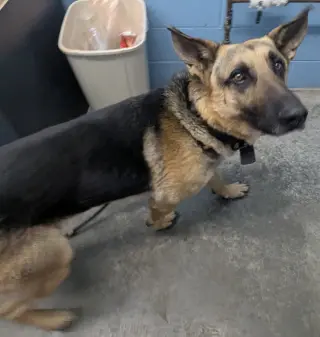 Kaiser