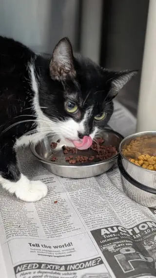Padma