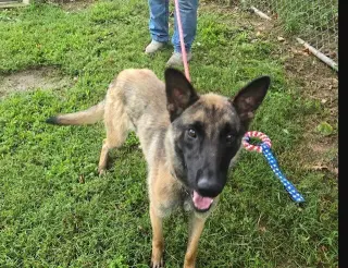 Maeve located in Illinois