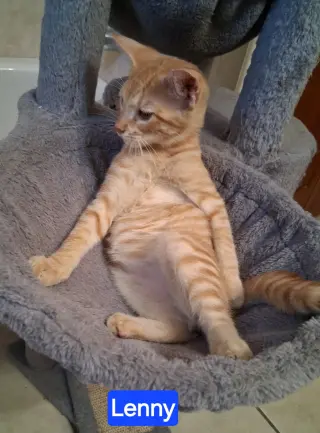 Lenny