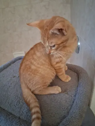 Lenny
