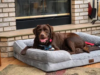 Bo