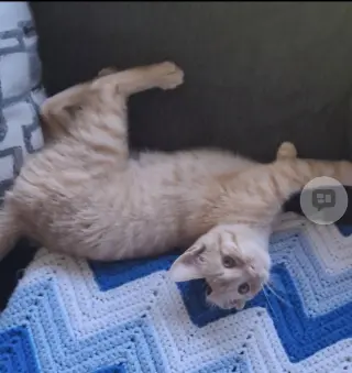 Hobbes