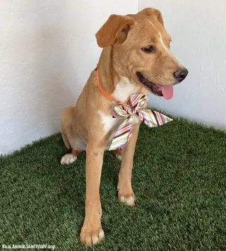 Marley