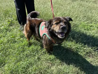 Roscoe