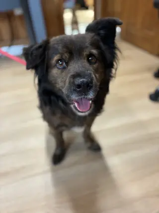 Roscoe