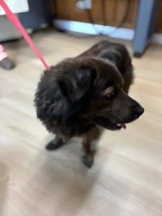 Roscoe