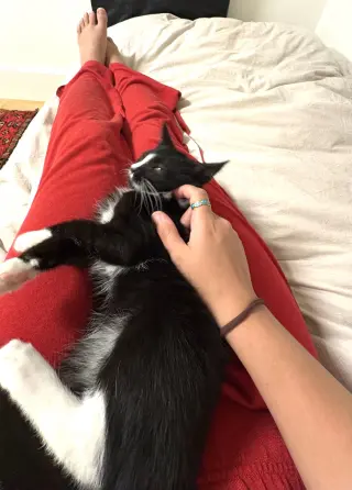 Cesar and Pepper