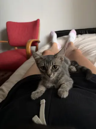 Cesar and Pepper