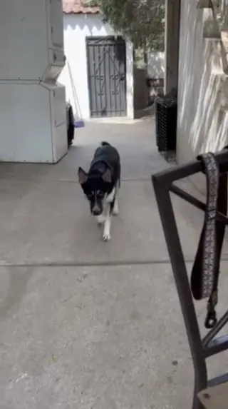 Floyd