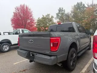Ford F-150 2021 4x4 XLT 4dr SuperCrew 5.5 ft. SB