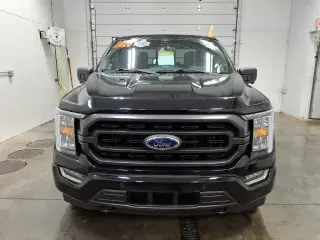 Ford F-150 2023 4x4 XLT 4dr SuperCrew 5.5 ft. SB