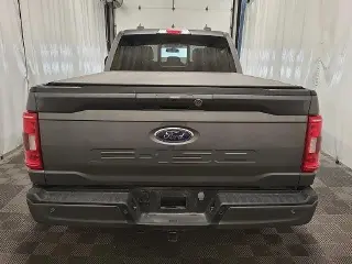Ford F-150 2023 4x4 XLT 4dr SuperCrew 5.5 ft. SB