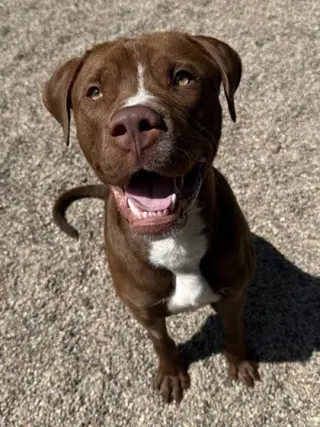 Titus