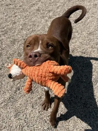 Titus
