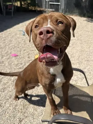 Titus