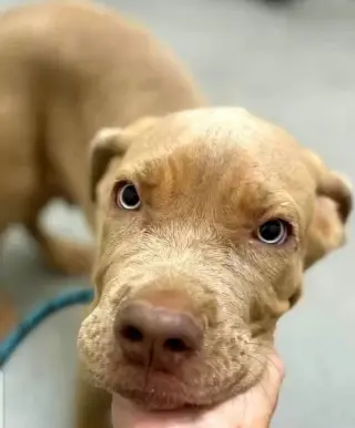 Spunky