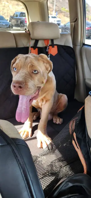 Spunky