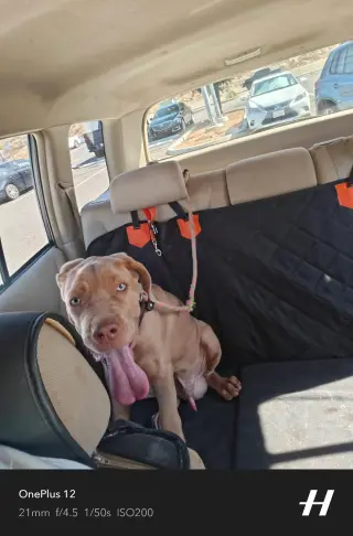 Spunky