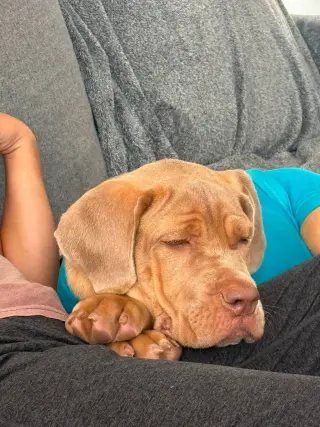 Spunky