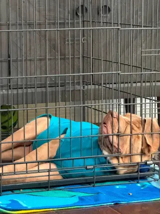 Spunky