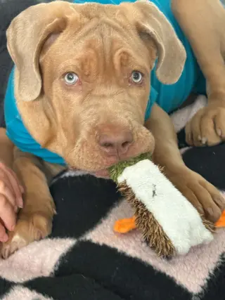 Spunky
