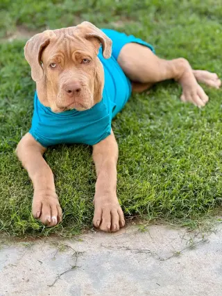 Spunky